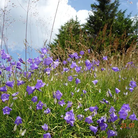 Apartmán Kop Konaci